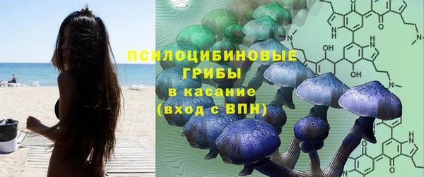 кокс Алзамай