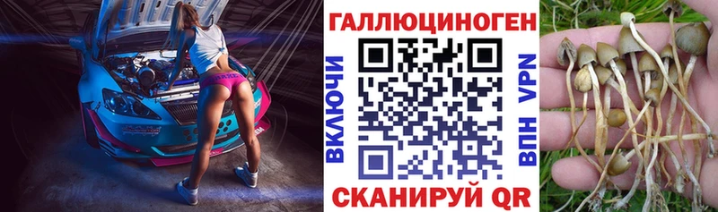 Псилоцибиновые грибы прущие грибы  Лихославль 